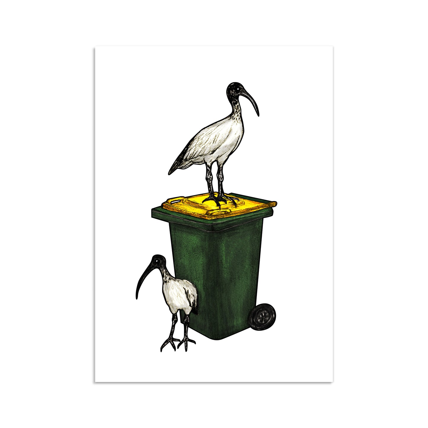 Bin Chicken Print