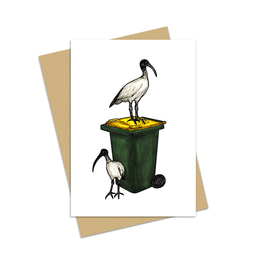 Bin Chicken Card